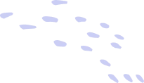 Shape Thumb